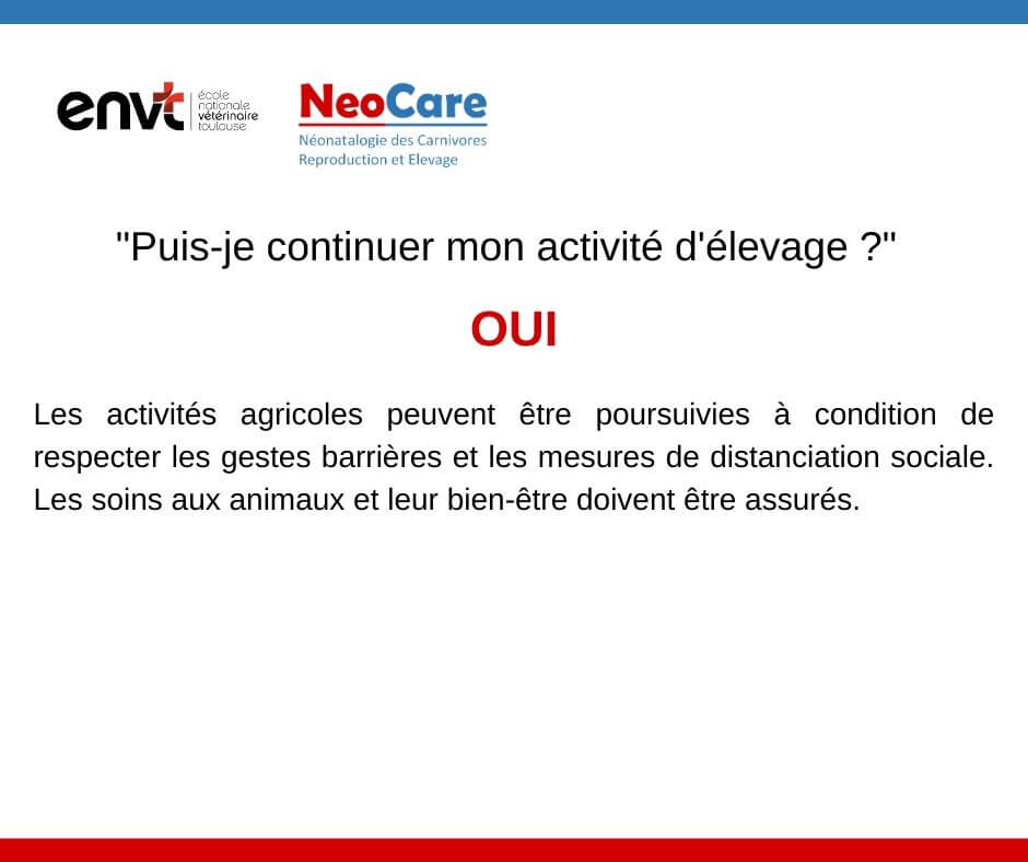 FAQ COVID-19 ET ELEVAGE