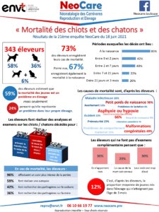 résultats de l'enquête 17